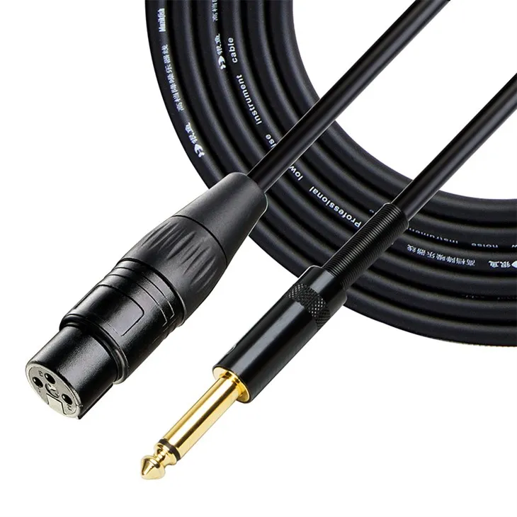 XLR Biex 6.35mm Cable
